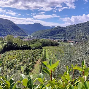 Country house Tenuta La Fratta